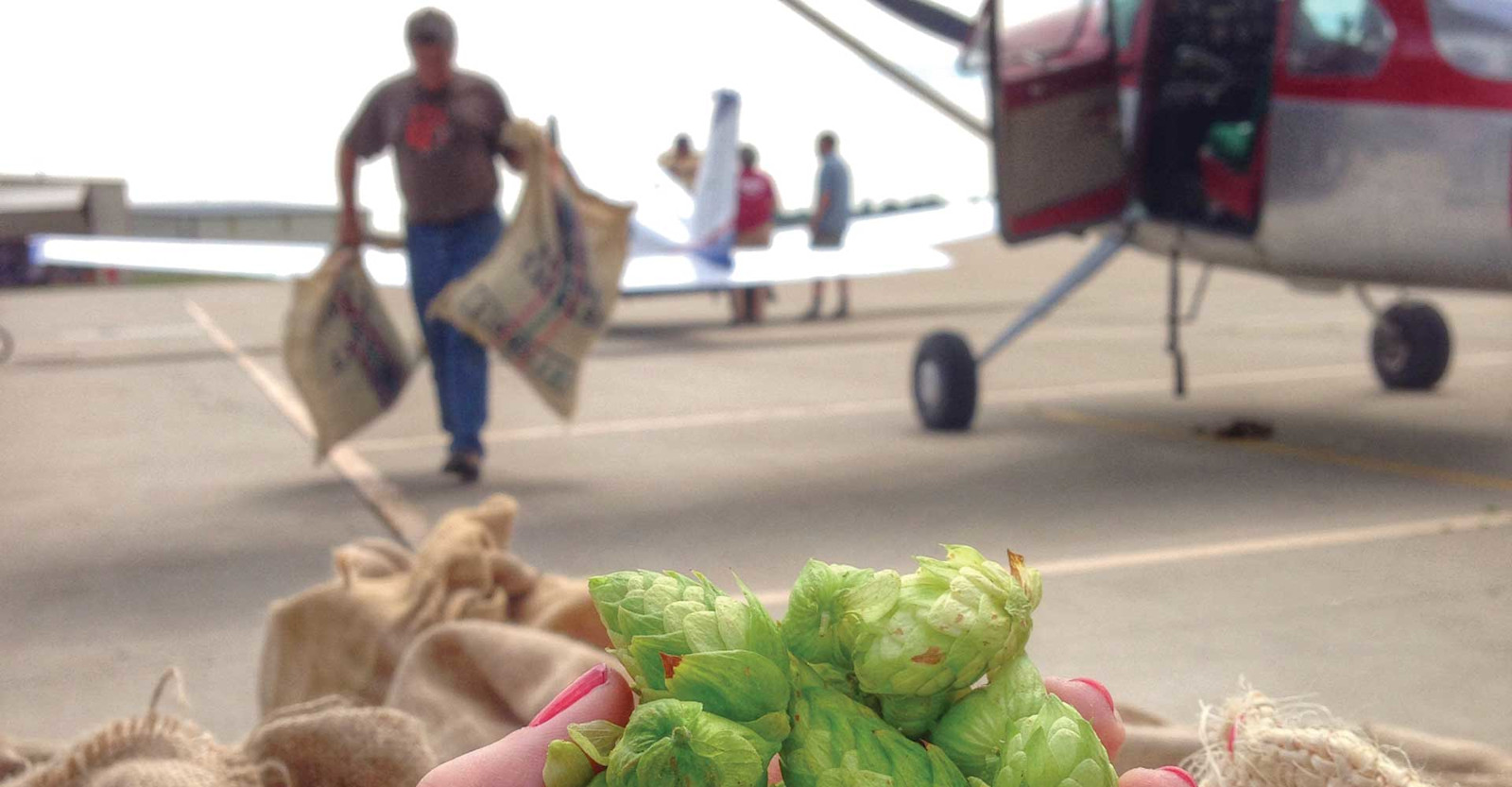 Brewers’ Perspectives: The Last Seasonal Primary Image