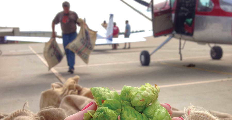 Brewers’ Perspectives: The Last Seasonal Image