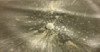 What Is a Pellicle? Image