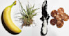 The Remedy of Errors Image