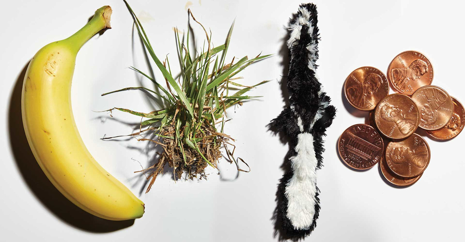 The Remedy of Errors Primary Image