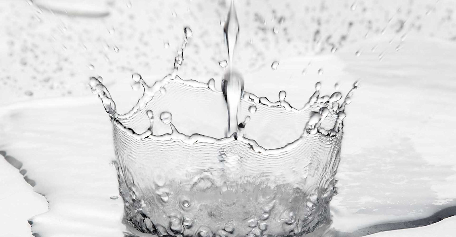 Water: The Overlooked Essential Primary Image