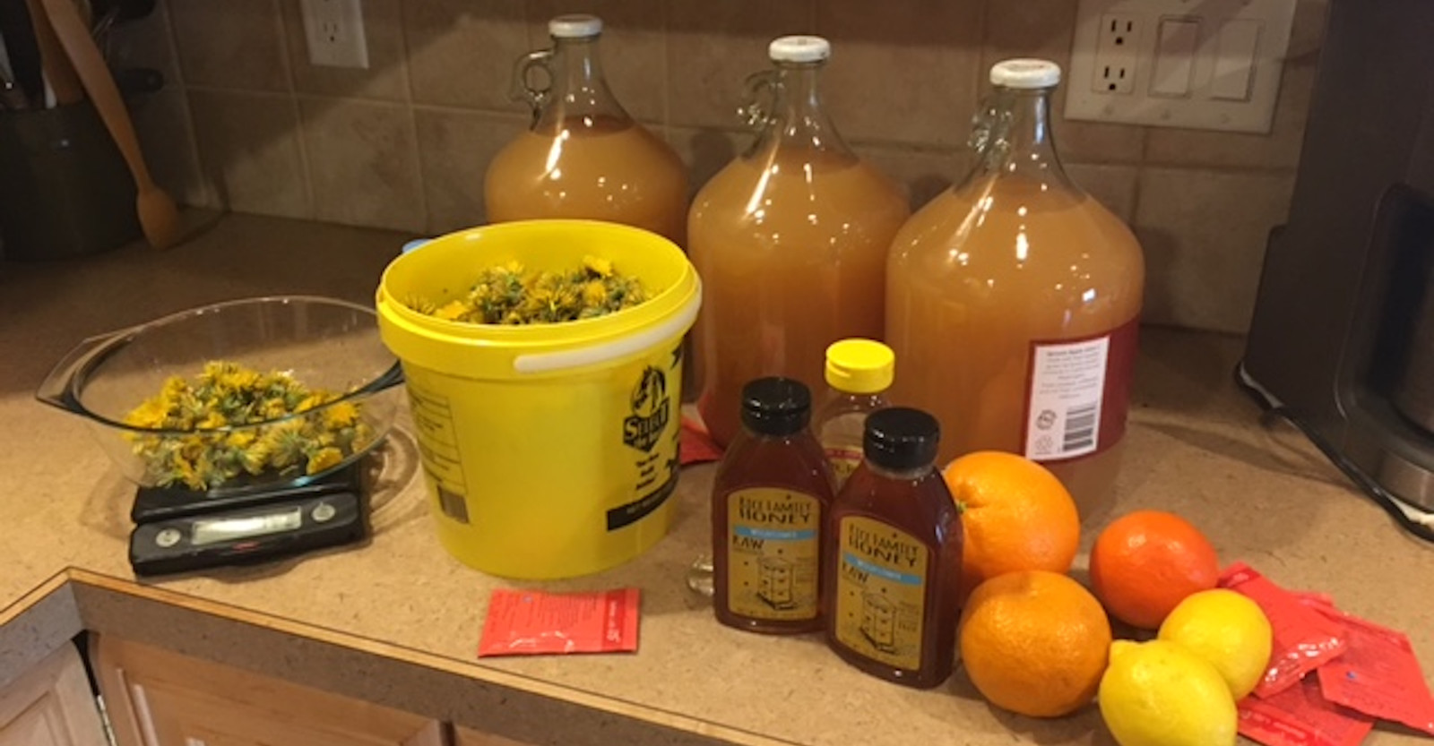 Dandelion Cyser Primary Image