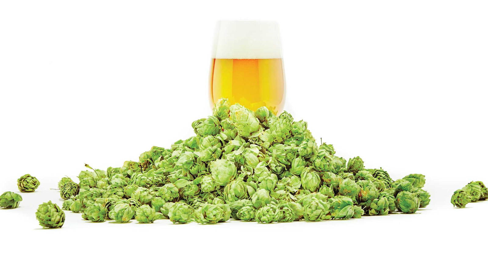 Recipe: Mitten Winds IPA Primary Image