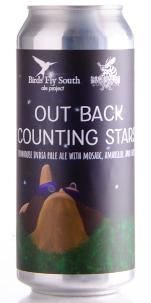 Birds Fly South Ale Project Out Back Counting Stars Image