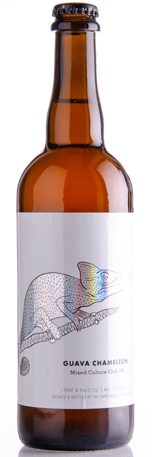 The Rare Barrel Guava Chameleon Image