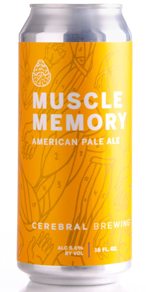 Cerebral Brewing Muscle Memory Image
