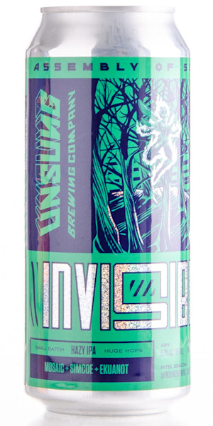 Unsung Brewing Company Invisibility Image