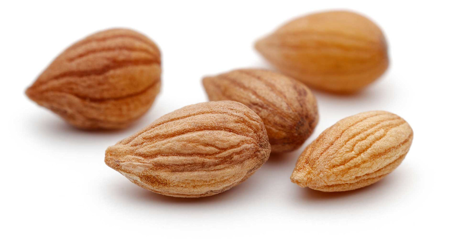 Special Ingredient: Mahlab Primary Image