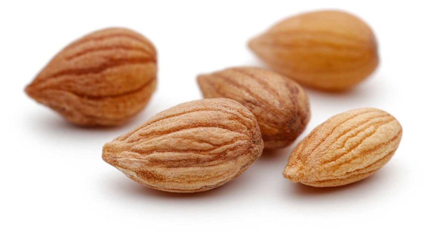 Special Ingredient: Mahlab Image