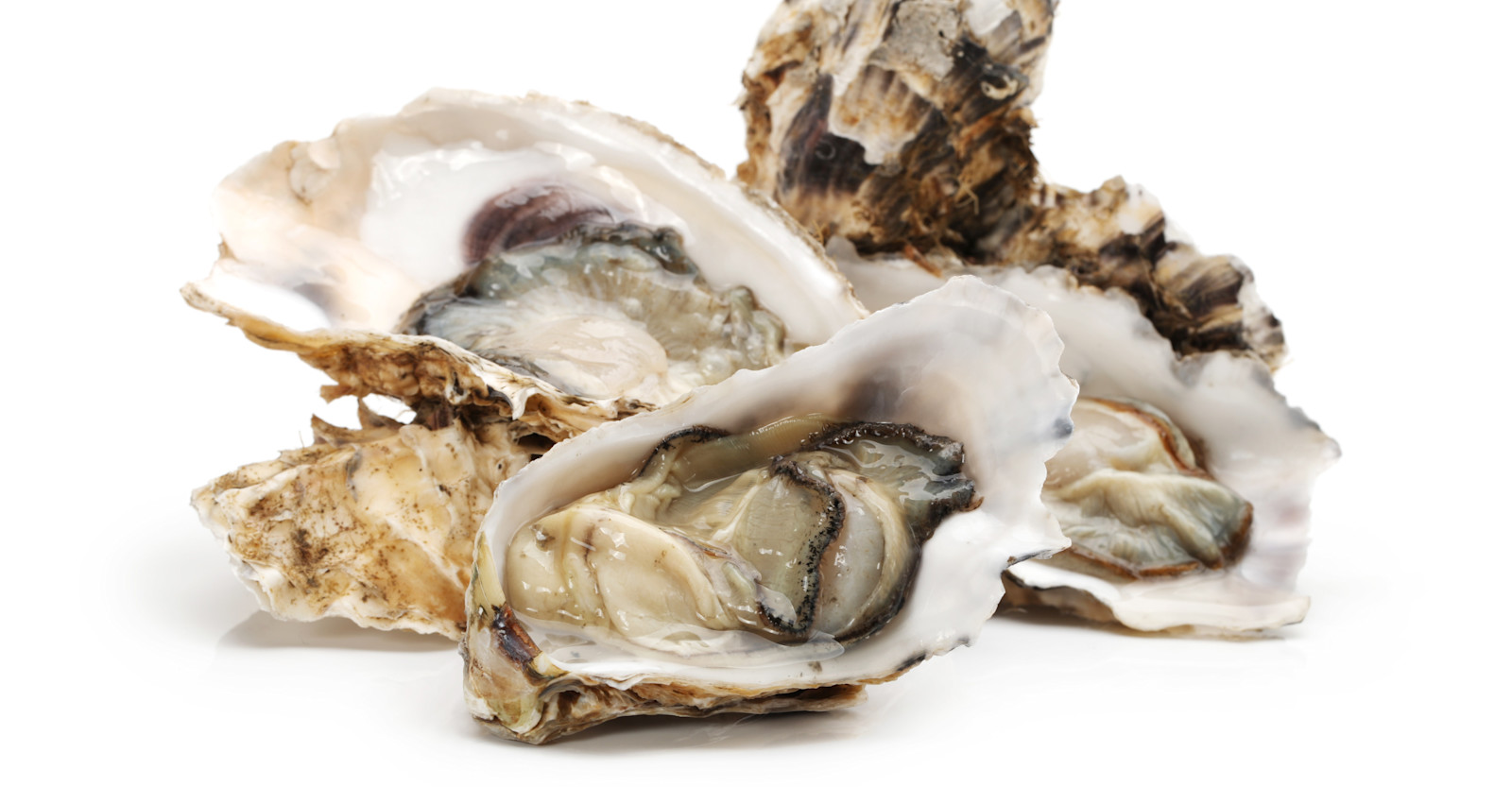 Special Ingredient: Brewing with Oysters + Oatmeal Oyster Stout Recipe Primary Image
