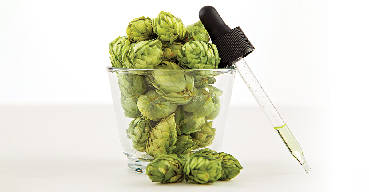 Terpenes: Brewing with the Essence of Hops Primary Image