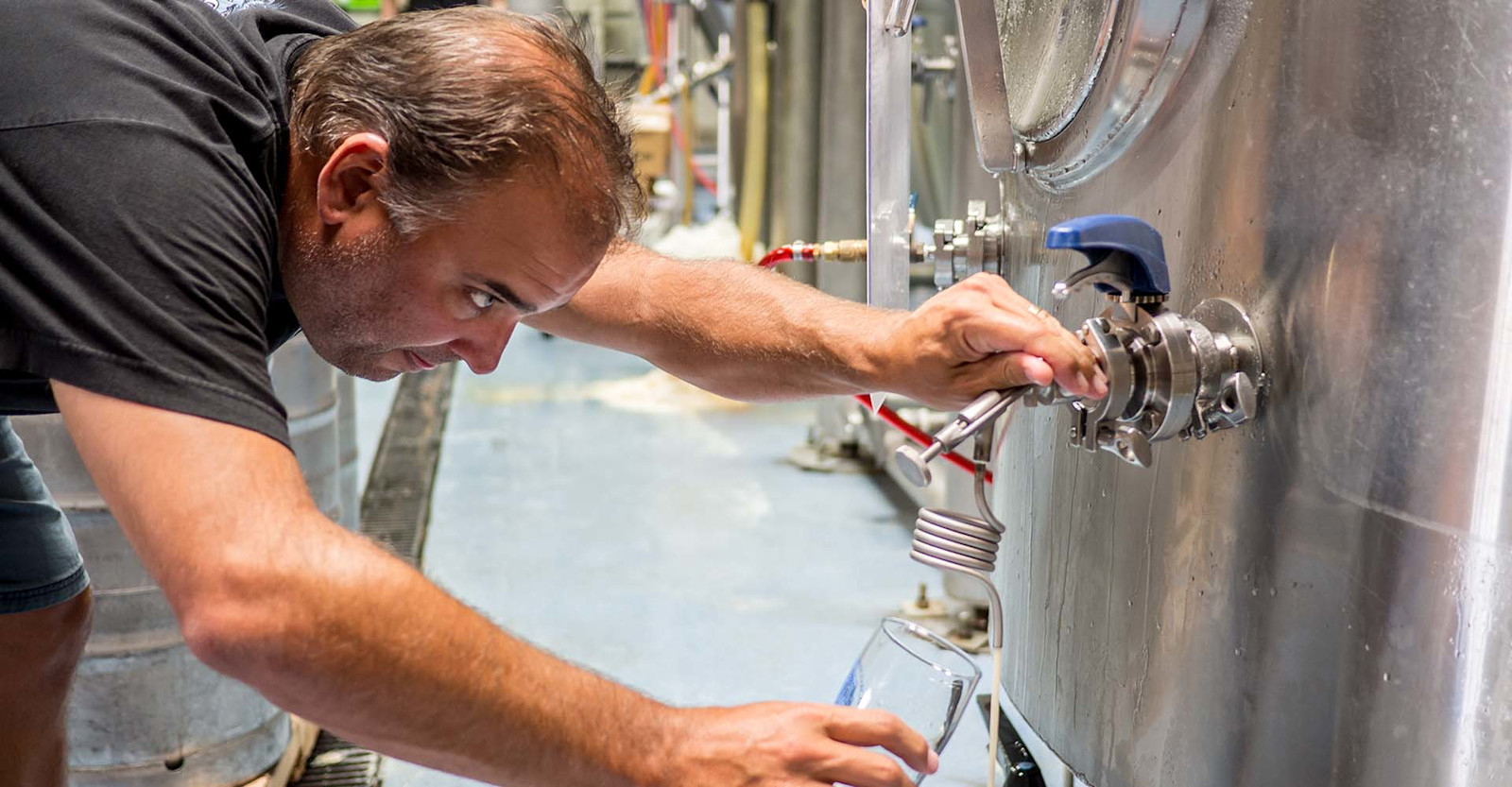 Breakout Brewer: El Segundo Brewing Primary Image