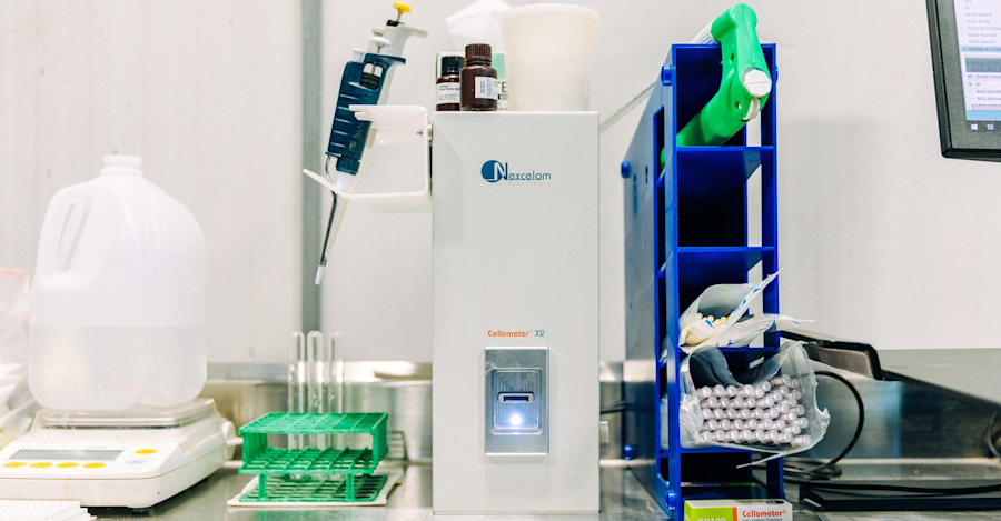 Gearhead: Keeping an Eye on a Brewery’s Microscopic Workforce Image