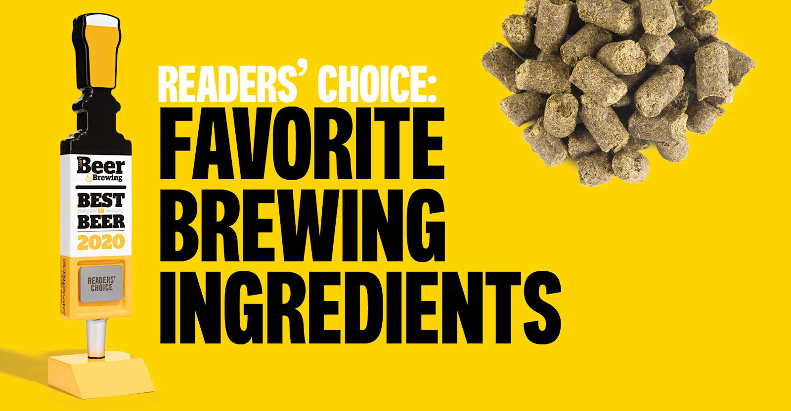 Best in Beer 2020 Readers’ Choice: Favorite Brewing Ingredients Primary Image