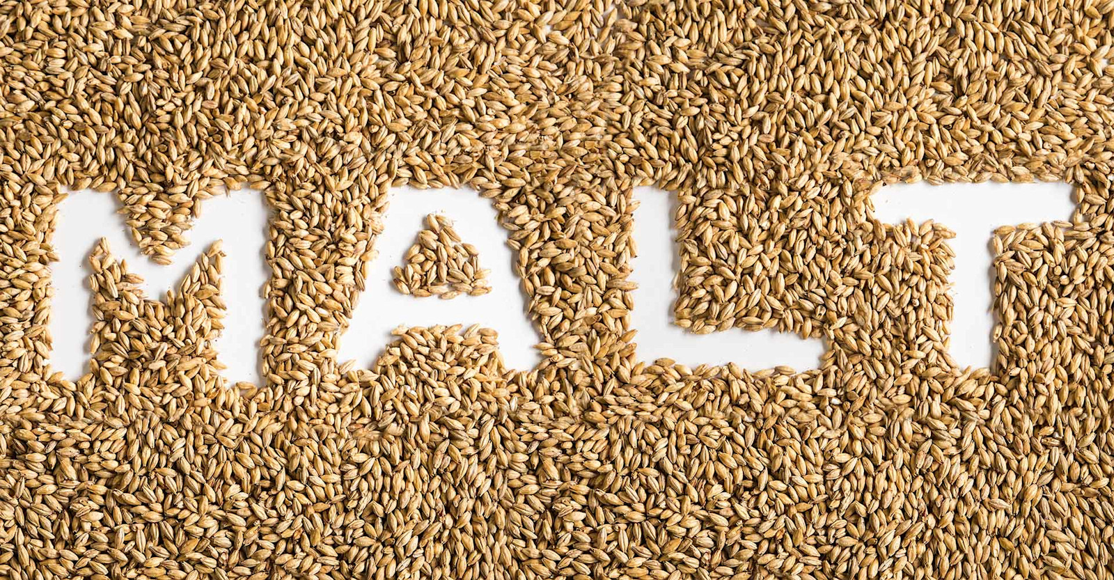 The Malt In Your Beer Offers More Than Just Flavor Primary Image