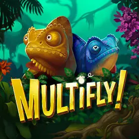 Multifly!