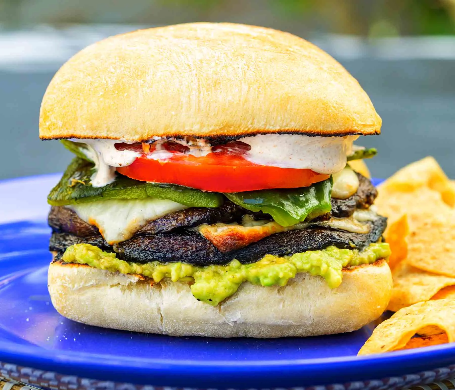 Grilled-Mushroom-and-Poblano-Tortas-157_cc1_00000000_desktop2x.jpg