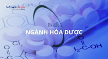 Ngành hóa dược: Học gì, học ở đâu và cơ hội nghề nghiệp