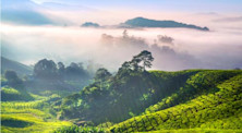 Du học Malaysia: Điểm Đến Lý Tưởng với Chi Phí Thấp (phần 2)