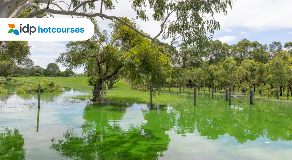 lismore uc