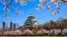 Japonya'da Eğitim Alabileceğiniz En İyi Üniversiteler
