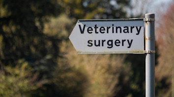 Road sign saying 'Veterinary surgery'