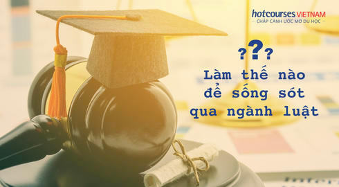 hoc nganh luat