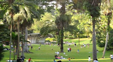 Visa du học Singapore - hỏi và đáp