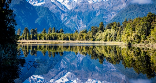 otago nz
