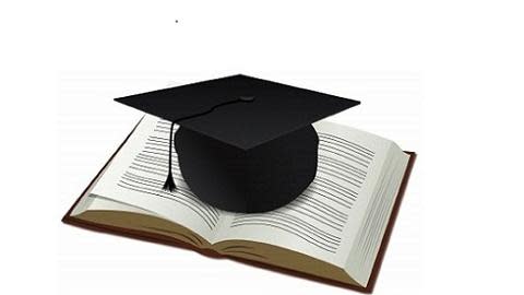 Netherlands Fellowship