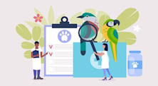 أفضل الجامعات لدراسة الطب البيطري في كندا