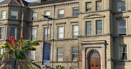 Mary Immaculate College (MIC)