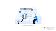 Prospek Karir di Irlandia