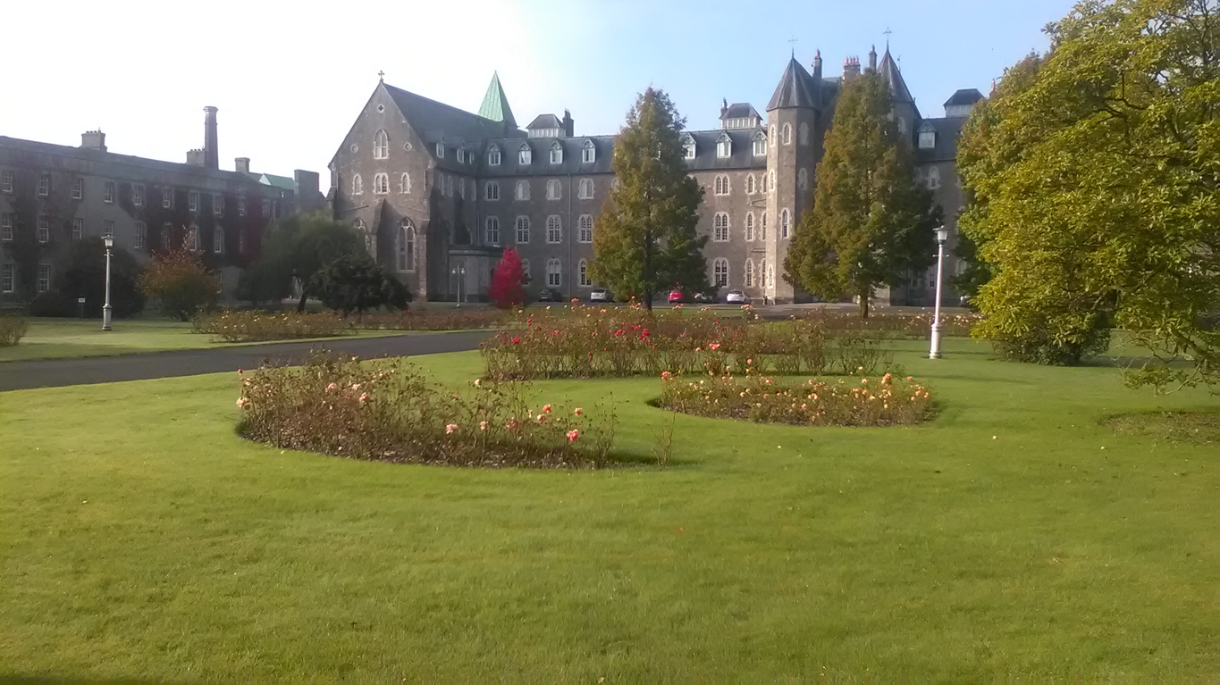 maynooth university