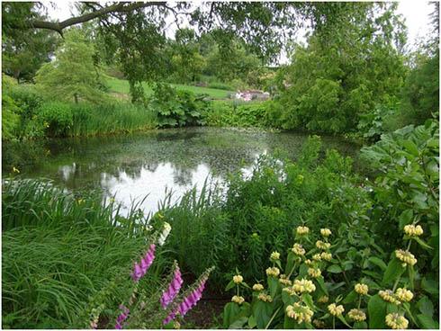 RHS Garden Hyde Hall