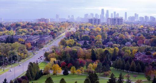 Mississauga Fall