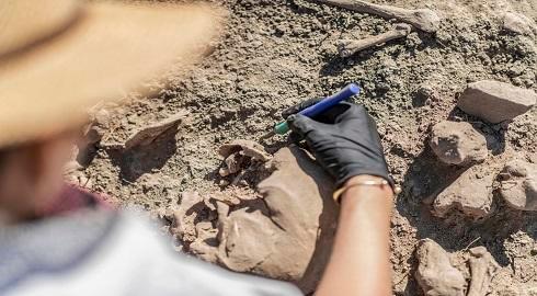 فحص بقايا عظام في دراسة علم الآثار