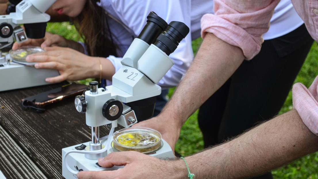 Natural Sciences students looking through microscopes outdoors