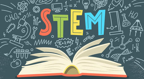 best universities for stem degrees