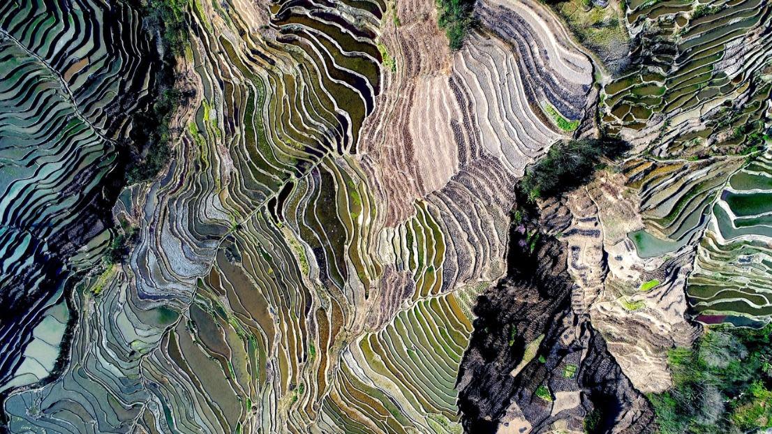 World's largest and most beautiful Rice Terraces