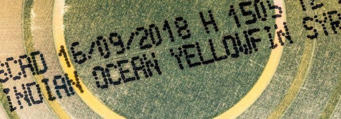 Catat tanggal kedaluwarsa bahan makanan saat menggunakan dapur bersama di asrama kampus luar negeri - Hotcourses Indonesia