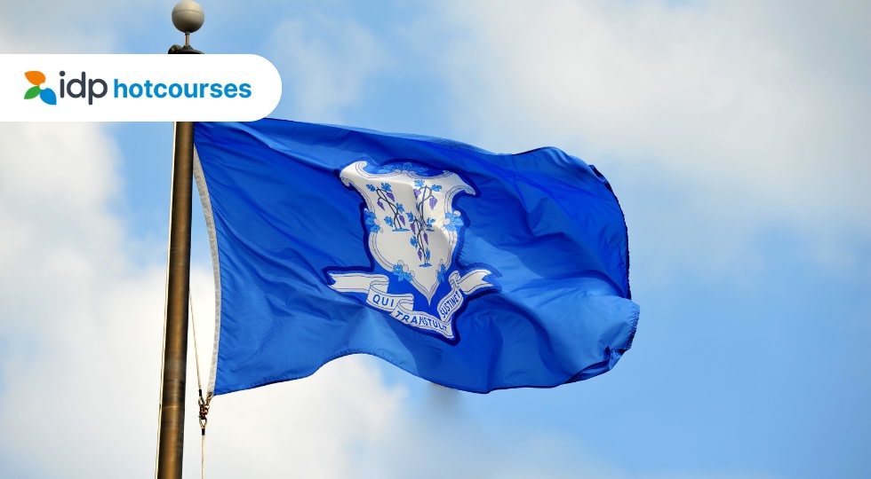 Connecticut flag