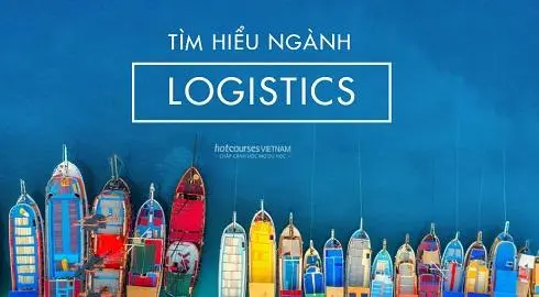 Có thể tự học ngành logistics hay cần đi học đại học chuyên ngành?
