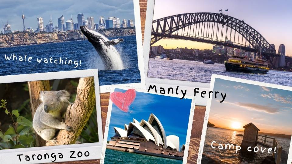 why studying in sydney australia