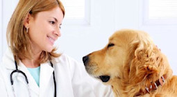 Top Paying Jobs in Demand