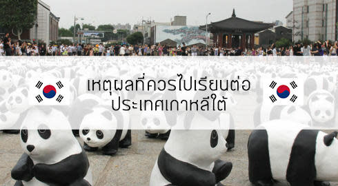 เหตุผลที่ควรไปเรียนที่เกาหลี