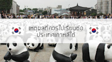 เหตุผลที่ควรไปเรียนที่เกาหลี