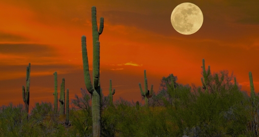 Arizona desert moon