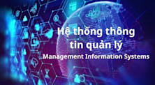 Ngành hệ thống thông tin quản lý (MIS): Học gì, học ở đâu và cơ hội nghề nghiệp